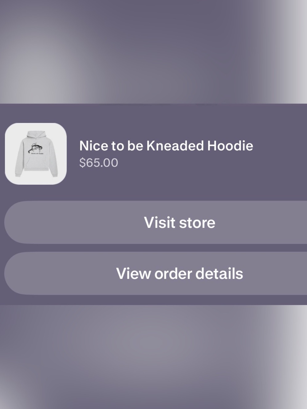 LONELY GHOST Light Gray Pullover Hoodie